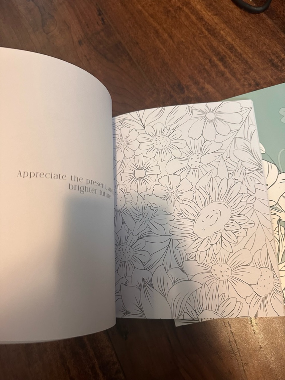 Paperback Coloring Journal Books - Picture 4 of 4